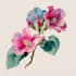 illustrate fabulous botanical fruits illustration