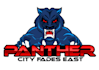 design modern panther logo
