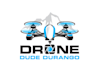 design creative drone logo