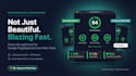 build a fast wordpress elementor website or landing page