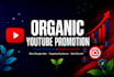 do youtube video promotion through google ads