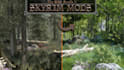 create edit or port custom skyrim mod weapon and armor or fallout 4 game mods