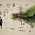 design a scientific illustration