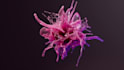 do 4k 3d abstract animation 3d loop animation houdini motion graphics video