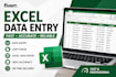 professional in excel data entry
