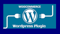 wordpress plugin create custom wordpress plugin php javascript jquery wordpress