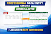 do accurate data entry, PDF to excel, copy paste and web research