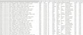 clean, format and organize large excel data