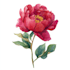 draw watercolor flower illustration