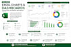 create professional excel dashboards charts and KPI reports