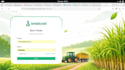 develop your institutional website