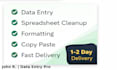do data entry, excel, and clean up your spreadsheets fast