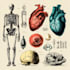 create high quality medical and anatomical illustrations