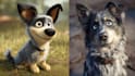 do unique disney pet portrait