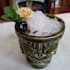create a unique signature cocktail recipes and design professional menu