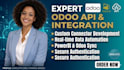develop odoo api connector odoo integration custom api automation powerbi odoo