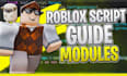 roblox scripts, system scripts, roblox scripter, roblox developer