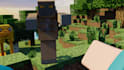 first person perspective minecraft action animation