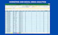 provide professional marketing data analysis and insights