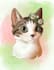 do digital pet illustrations