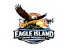 design an eagle, lion, tiger, animal logo and bird illustration