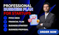 create investor ready business plan to secure funding