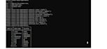 do data entry and mysql database work accurately