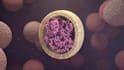 create 3d cellular and molecular animation, scientific medical animation