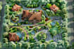 make property map, plat map, site plan, landscape design
