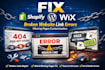 fix shopify wordpress wix broken website link errors missing pages customization
