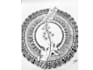 draw professional handdrawn mandala art