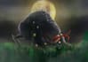 do digital art and painting
