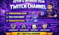 create a professional twitch channel setup