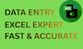 clean and organize excel data professionally