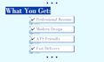 professionally rewrite and improve your resume