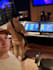 mix your audio files
