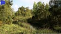 create realistic 3d ue5 game environment with level design full scene setup