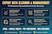 provide professional data management, CRM cleanup, and spreadsheet organization