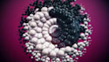 create a 3d abstract animation 3d loop lofi animation 3d lottie motion graphics