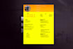 making cv resume with in 24hr