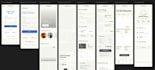 design and develop a professional business website