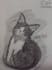 draw a simple sketch potrait from your photo