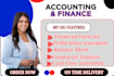 prepare audit ready financial statements and advanced analysis