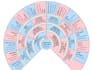 do expert french genealogy research for your family tree