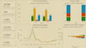design a professional e commerce sales dashboard in power bi