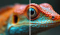 enhance and upscale your photos professionally