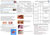 provide a comprehensive dental study revision pack