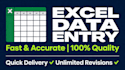 fast and accurate exel data entry  quality guaranteed