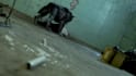 create 3d creature horror animation and animal vfx compositing