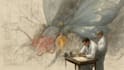 do medical and scientific illustrations